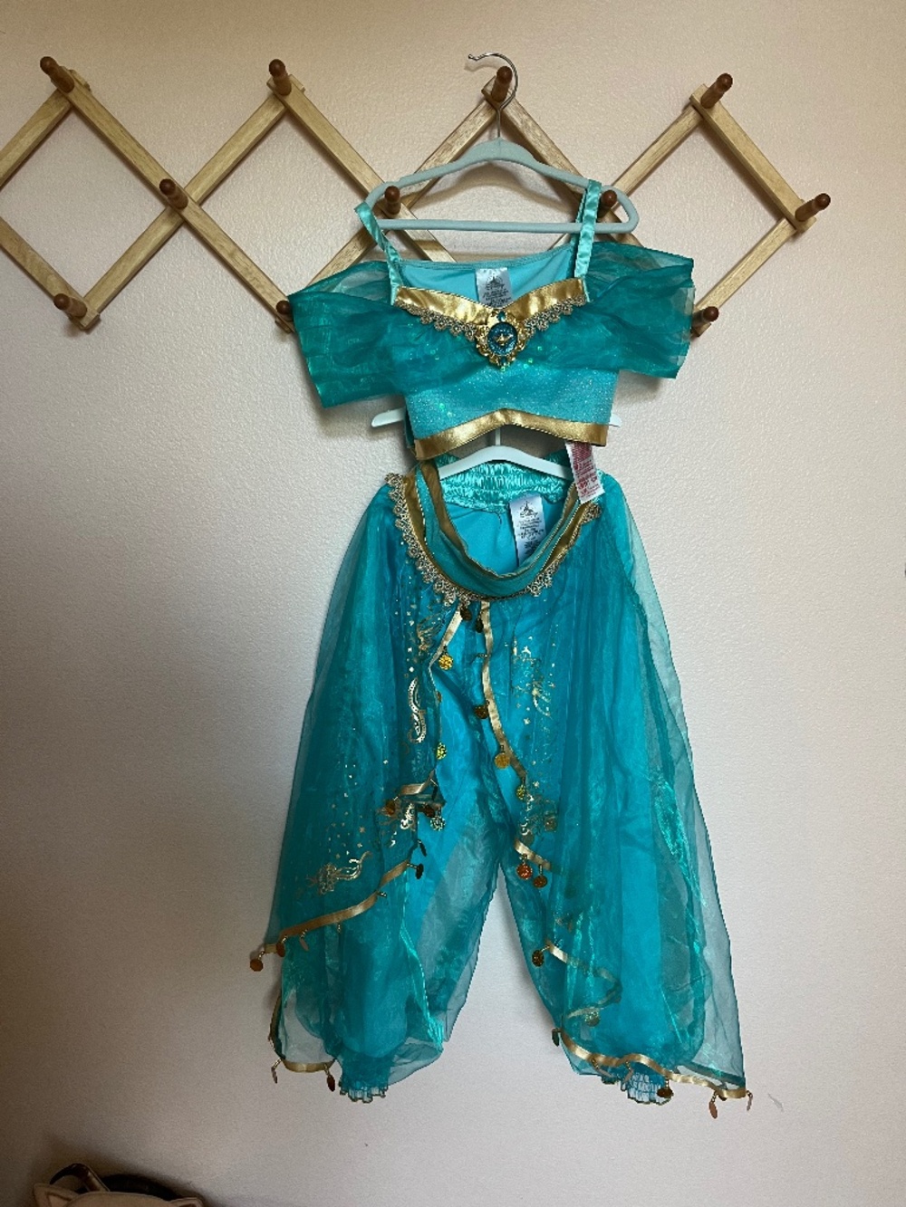 Kids Jasmine costume 5/6
